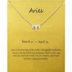 Aries ♈️ Zodiac Chains Necklace